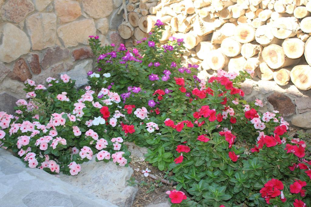 Modern&quiet Place Eilat